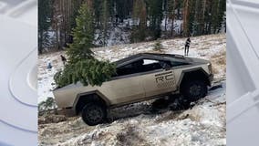 Tesla Cybertruck owners get warning from US Forest Service