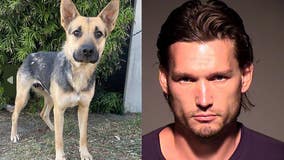 Ventura man sentenced in animal cruelty case involving death of puppy stolen from rescue shelter