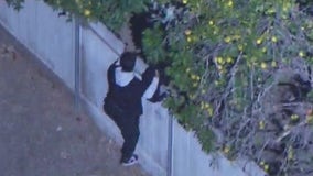 Police chase suspects dump car, driver tries to jump backyard fence; 1 in custody