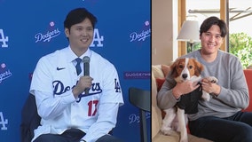 Shohei Ohtani's dog name revealed