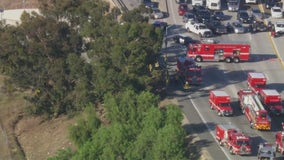 Firefighters rescue driver trapped in box truck on 405 Freeway