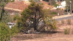 1 dead after small plane crashes into tree in Corona