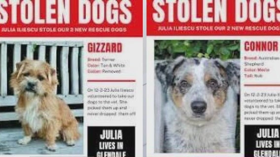 Woman takes 2 dogs away from rescue worker over neutering debate