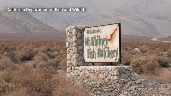 Over 40 acres of ancestral land in California returned to Native American tribe