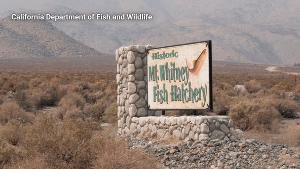 Over 40 acres of ancestral land in California returned to Native American tribe