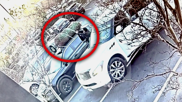 Real life Grinch steals Christmas tree from top of parked car in California shopping center