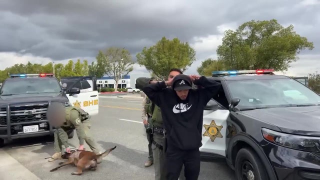 Riverside County investigating deputy handling of K-9 officer
