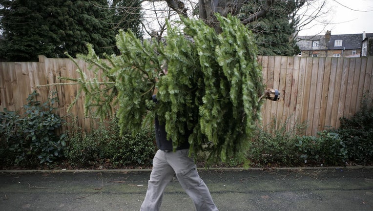 3f25a477-Christmas-tree.jpg