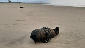 WWII-era unexploded bomb washed ashore on Santa Cruz beach by powerful storms