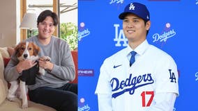 Shohei Ohtani's dog gets passport from US Embassy in Japan