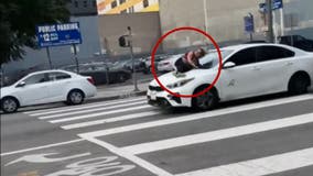 Woman holds onto hood of dognappers' car as it drives off in DTLA