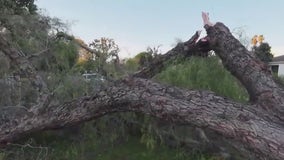 Whipping winds dominate in Southern California