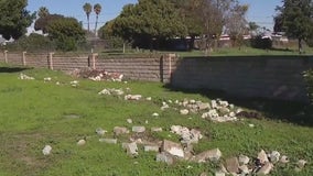 Historic Compton cemetery vandalized