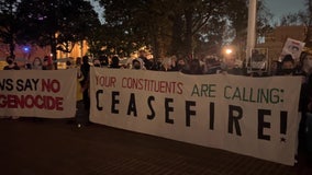 Protesters demand Gaza ceasefire during California Senate debate