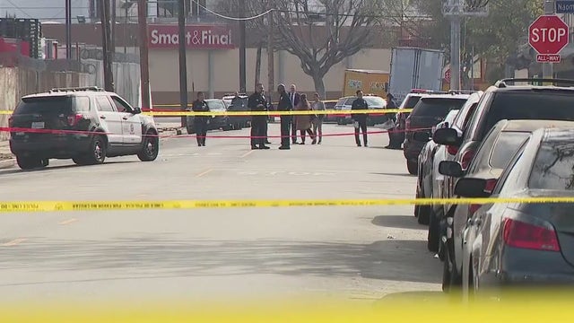 Pursuit suspect shot by officers near DTLA