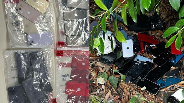 Lose your phone at Countdown: New Year's Invasion? Here's how you can get it back