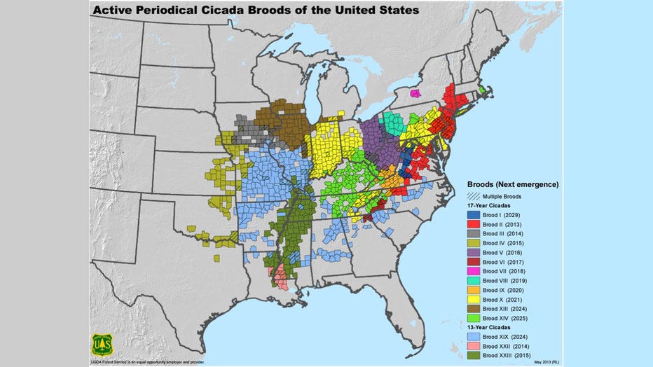 Cicada-US-map.jpg