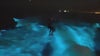 Bioluminescent waves celebrated at Aquarium of the Pacific event