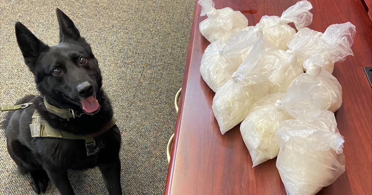 California K-9 finds pounds of meth hidden in dog treat boxes during ...