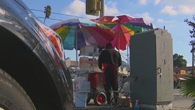Anaheim cracking down on illegal street vendors