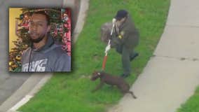 Compton pitbull breeder killed was doing it 'to make money,' friend says