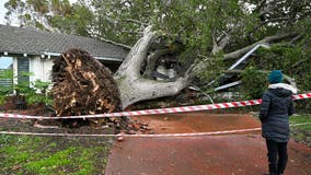 California storm turns deadly after trees fall on multiple homes