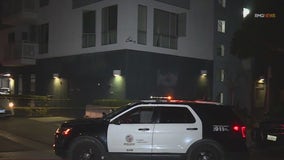 Man shot to death in South LA