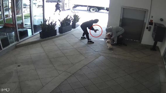 Gym owner fights off 3 brazen attackers in West Hollywood