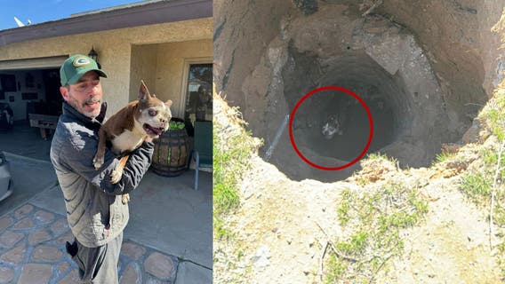 Elderly dog rescued from sinkhole in Hesperia front yard