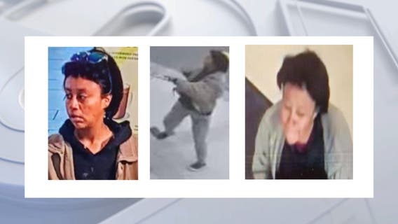 LAPD looking for woman who attempted to kidnap child