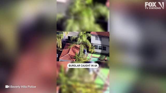 Video shows burglar falling into swimming pool while fleeing from cops