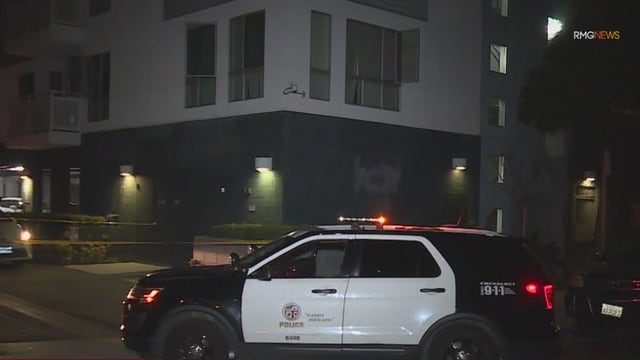Man shot to death in South LA