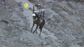 Horse pulled from Santa Ana River in Eastvale