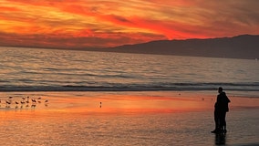 Want to beat the heat at the beach? Don't go in the water at these beaches, officials warn