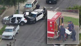 LAPD officer injured after driver 'intentionally' reverses, striking cruiser, police say