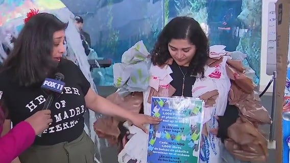 'Noche De Estrellas' returns to Aquarium of the Pacific in Long Beach