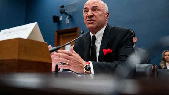 Kevin O'Leary offers to buy TikTok and turn it into a 'new American company' if proposed ban advances