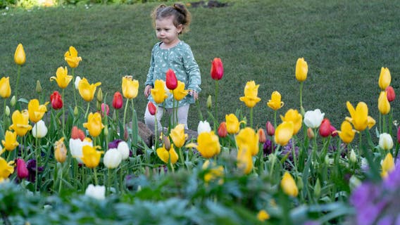 When does spring start? What to know about the vernal equinox