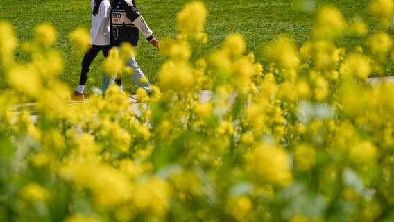 Spring is officially here. What does that mean?