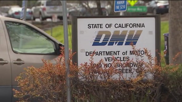 Special criteria for California seniors renewing driver's license