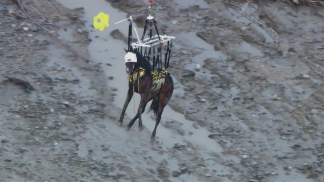 Horse pulled from Santa Ana River in Eastvale