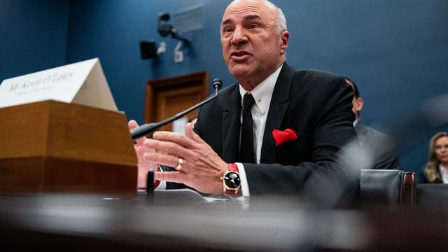 Kevin O'Leary offers to buy TikTok and turn it into a 'new American company' if proposed ban advances