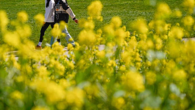 Spring is officially here. What does that mean?