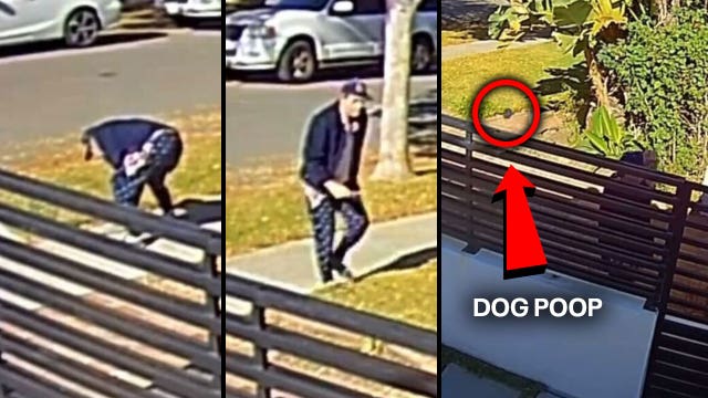 Beverly Hills family harassed, tormented by neighbor