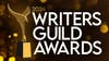 Oscars snubs win big with WGA honors