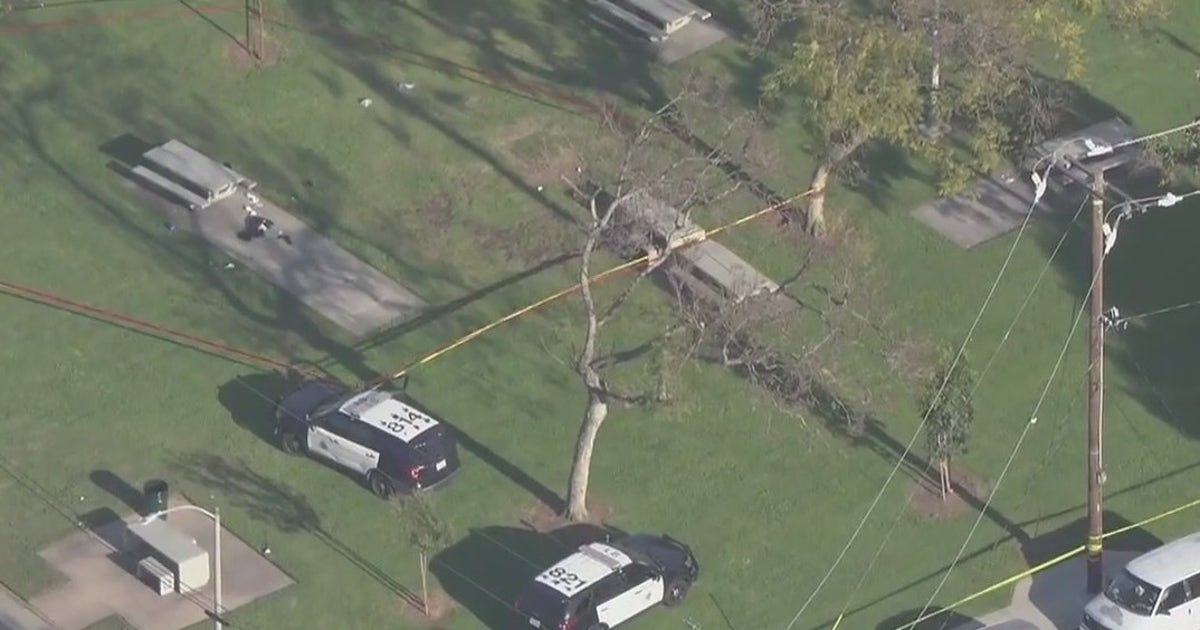 Man accused of carrying gun at a park in Long Beach shot, killed by ...