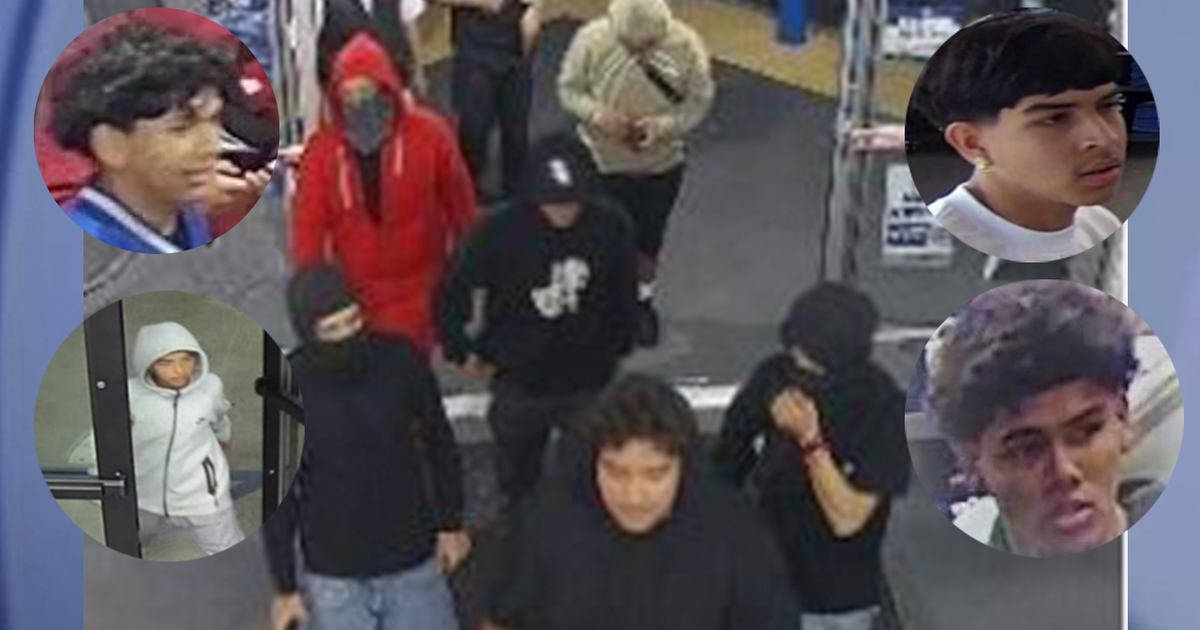 LAPD seeks help in ID'ing 10, 20 suspects in series of flash robberies ...