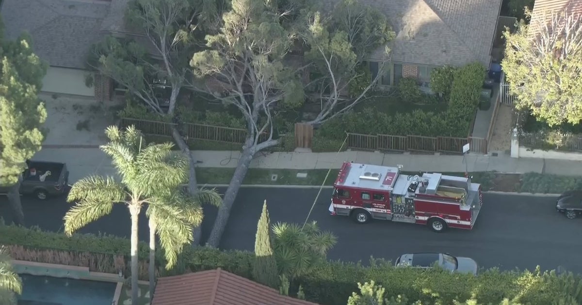 1 hurt after tree falls onto home in Westwood | FOX 11 Los Angeles