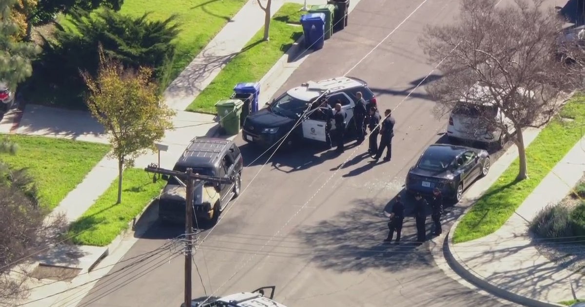 Vandalism suspect barricades inside Northridge home | FOX 11 Los Angeles