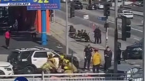 Pedestrian struck, killed by LAPD patrol car